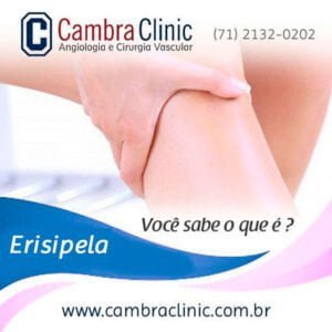 o que é erisipela