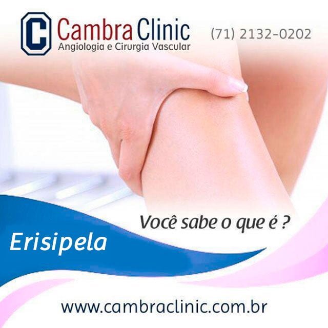 o que é erisipela